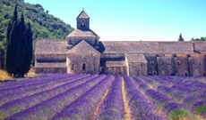 Encantos da Provence e as Lavandas do Sul da Frana